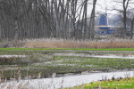 Pelmolen Ter Horst aan de Regge